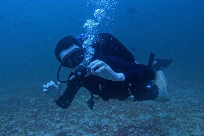 Scuba Diving Adventure in Musandam, Oman - FAQ