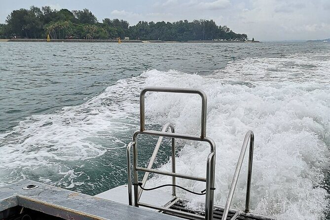 Scuba Diving Adventures in Singapore's Local Waters - What to Expect from the Tour