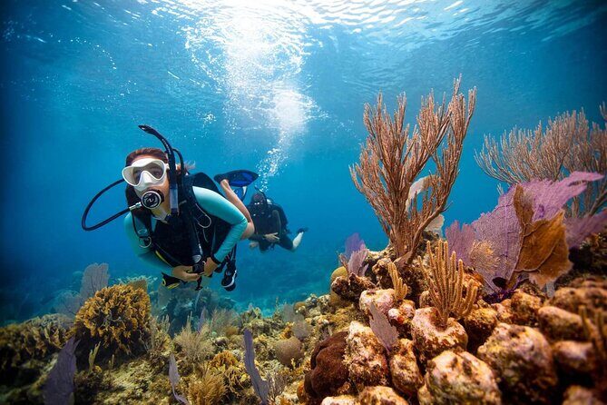 Scuba Diving at Jumeirah Dubai with Private Transfers - A Closer Look at the Experience