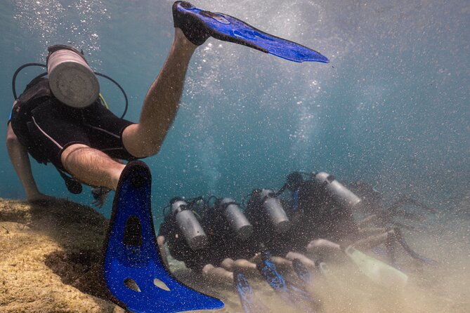 scuba-diving-at-turtle-bay-with-underwater-pictures-included