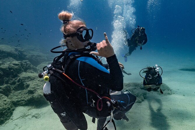 scuba-diving-at-turtle-bay-with-underwater-pictures-included