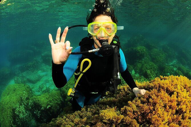 Scuba Diving Baptism and Snorkeling in Ibiza - Practical Tips for Future Participants