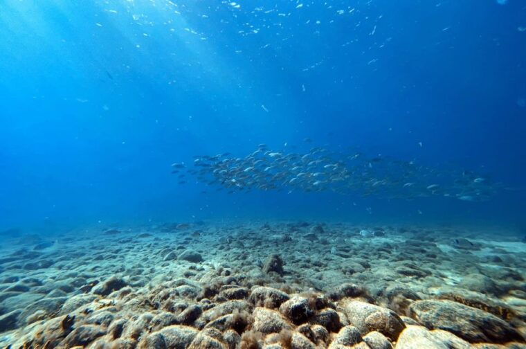 scuba-diving-baptism-in-caleta-de-fuste-2
