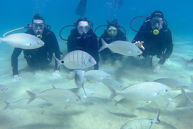 Scuba Diving (Basic Diver - 2 dives) - Additional Details That Matter