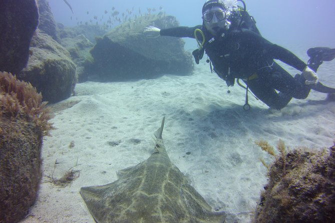 scuba-diving-beginners-session-in-costa-adeje