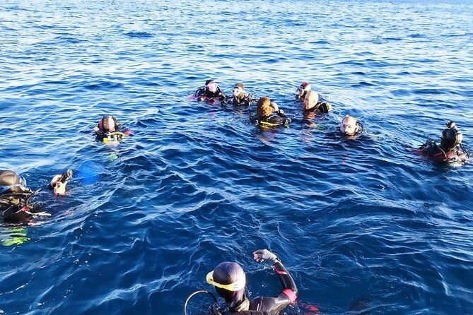 scuba-diving-experience-2