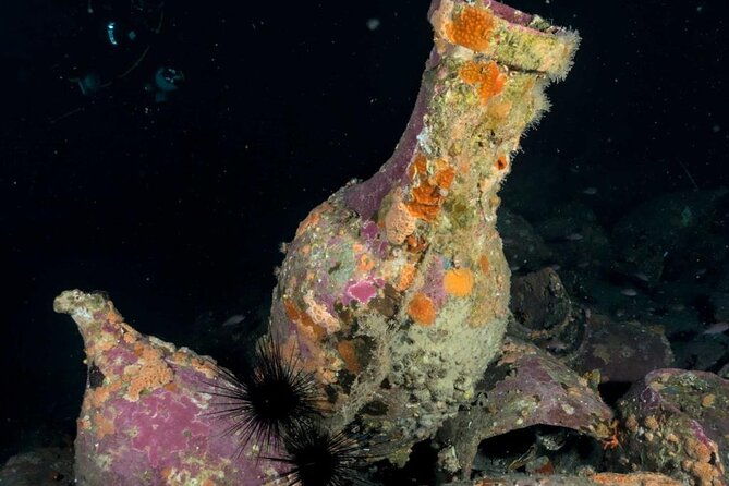 scuba-diving-experience-2