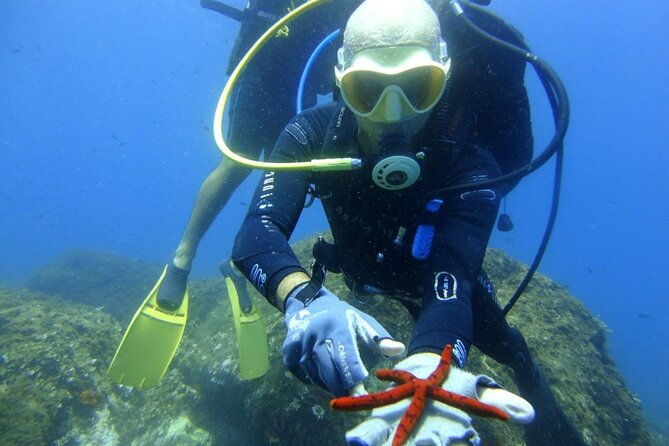 scuba-diving-experience-2