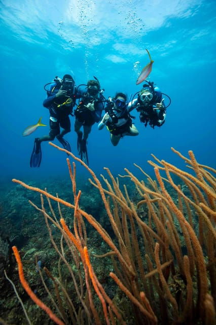 scuba-diving-experience-for-beginners-in-greece