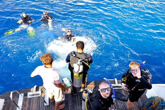 Scuba Diving Experience with Lunch & Transfer from Hurghada - Key Points