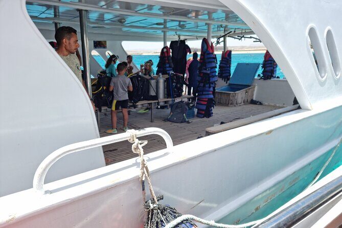 Scuba Diving Experience with Lunch & Transfer from Hurghada - The Itinerary in Detail: What to Expect