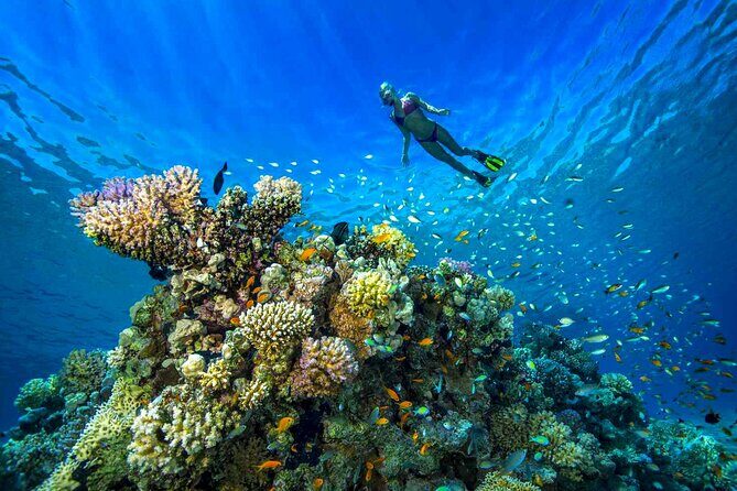 Scuba Diving Experience with Lunch & Transfer from Hurghada - The Sum Up