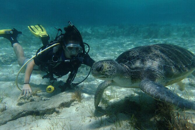SCUBA DIVING first time experience - Key Points