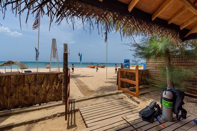 Scuba Diving For Beginners - FAQ