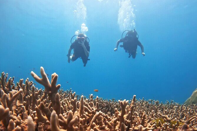 Scuba Diving for Beginners from Phuket Racha Yai with Snorkeling - The Experience in Detail