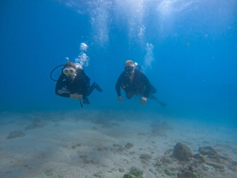 Scuba Diving for Beginners with Certified Diving Centre - Key Points