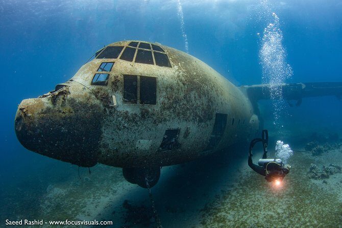 Scuba Diving for Certified Divers - Exploring Aqaba’s Red Sea: A Certified Diver’s Dream