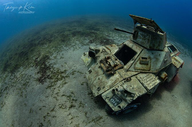 Scuba Diving for Certified Divers - Who Would Enjoy This Experience?