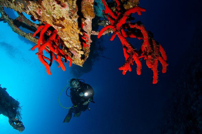 Scuba Diving for Certified Divers - To sum it up,  