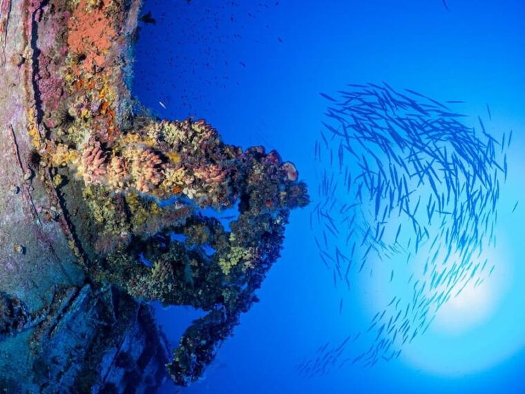 scuba-diving-for-certified-divers-2-dives