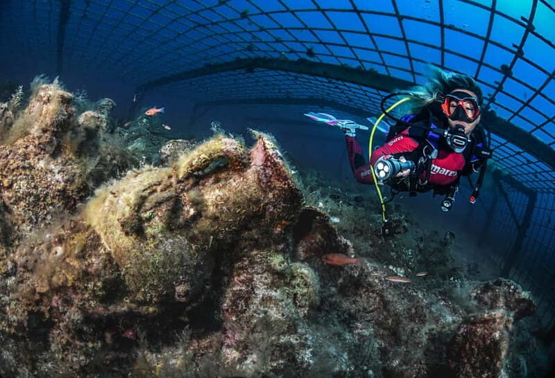 Scuba Diving for Certified Divers - Why Consider This Dive Experience?