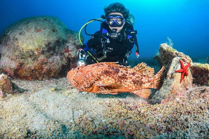 Scuba Diving for Certified Divers - The Dive Sites and What You’ll Encounter