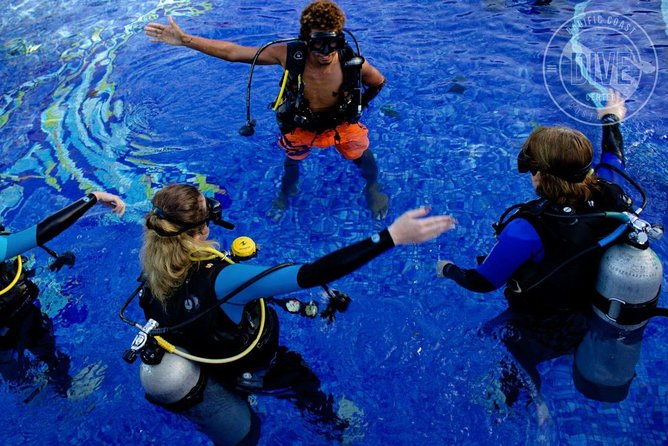 scuba-diving-for-non-certified-divers-at-catalina-islands-north-island-cr