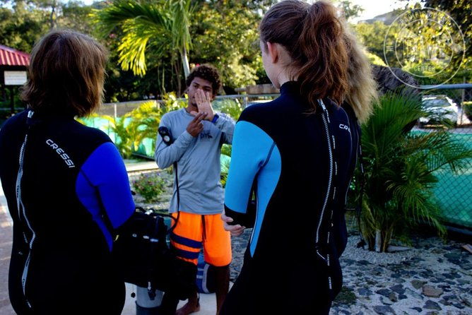 scuba-diving-for-non-certified-divers-at-catalina-islands-north-island-cr