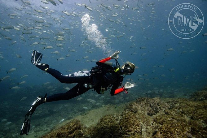 scuba-diving-for-non-certified-divers-at-catalina-islands-north-island-cr