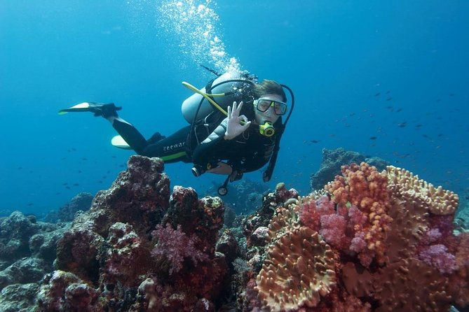 scuba-diving-from-marmaris-area