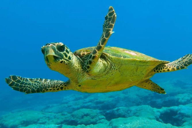 scuba-diving-from-sarigerme
