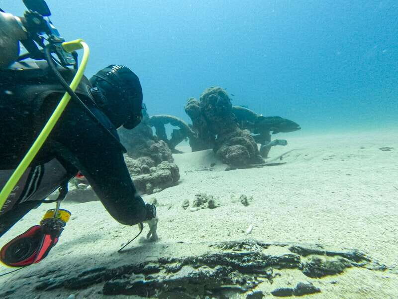 Scuba diving in a National Marine Park of Cabo Pulmo - The Practical Details: What’s Included and What’s Not