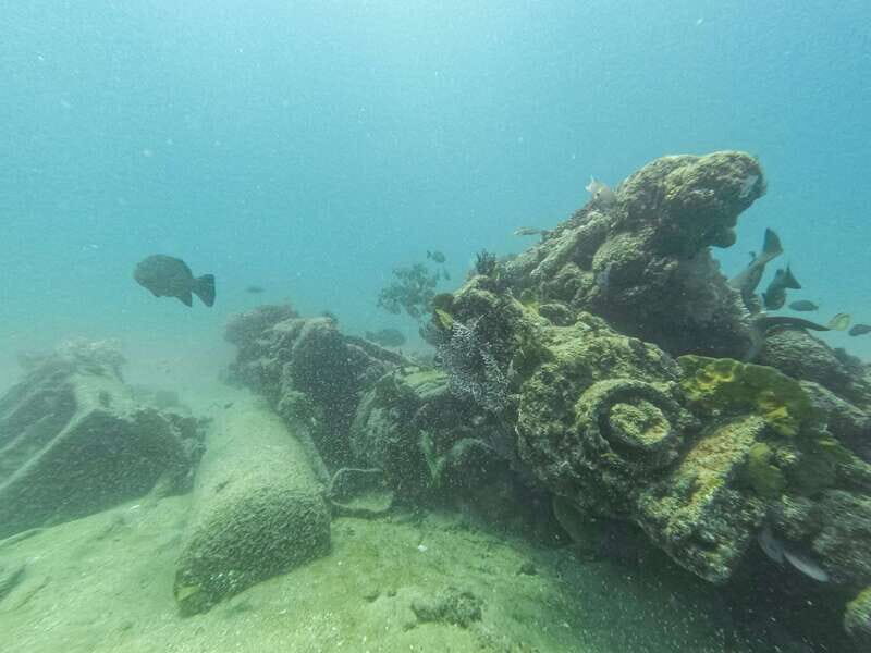 Scuba diving in a National Marine Park of Cabo Pulmo - Meeting Points and Logistics