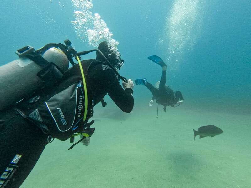 Scuba diving in a National Marine Park of Cabo Pulmo - Why This Tour Offers Great Value