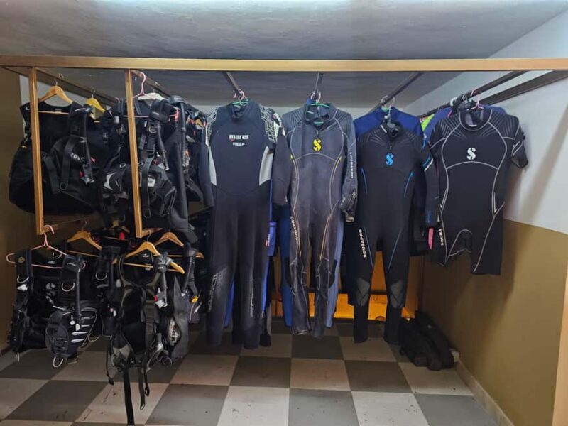 Scuba Diving in Aqaba and scuba Diving courses - The Sum Up