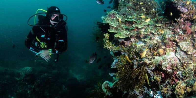 scuba-diving-in-boracay-ssi-open-water-certification
