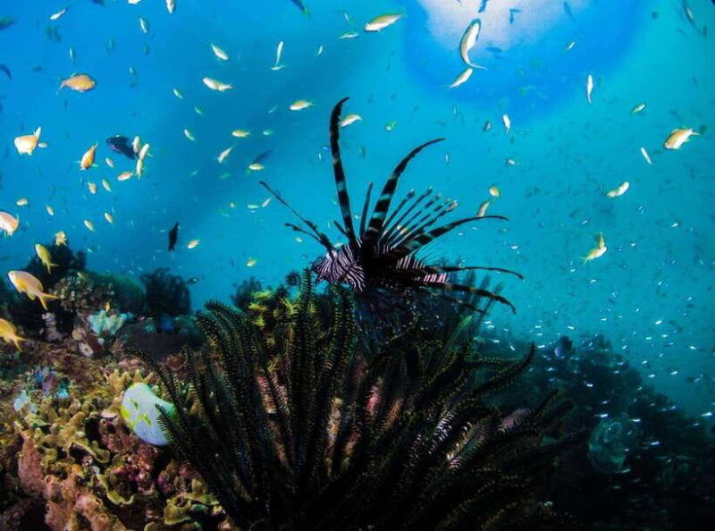 scuba-diving-in-boracay-ssi-open-water-certification