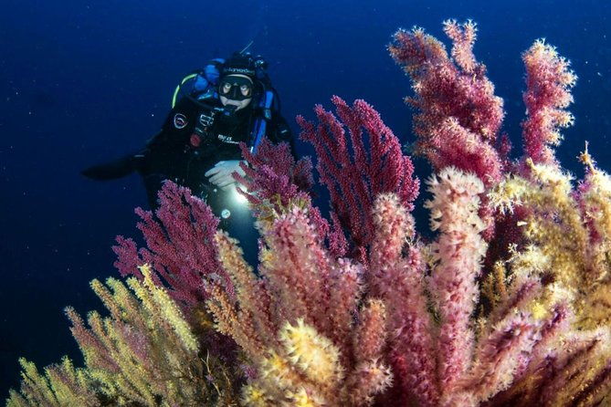 scuba-diving-in-calabria-italy