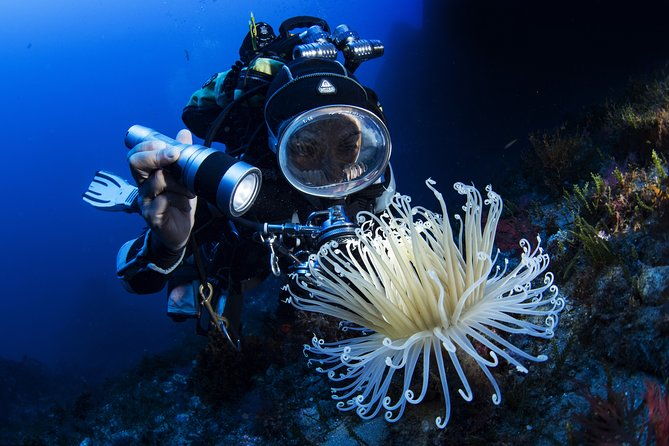 scuba-diving-in-calabria-italy