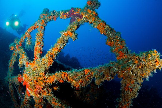 scuba-diving-in-calabria-italy