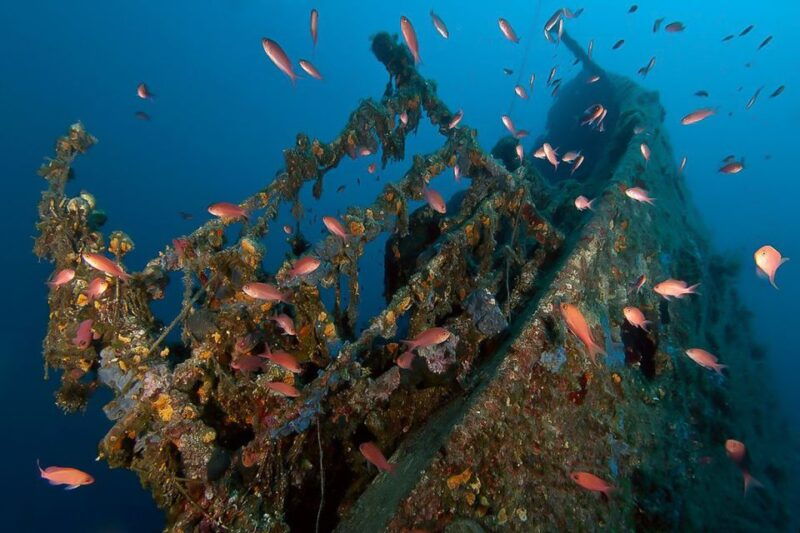 scuba-diving-in-dubrovnik-1-dive-for-certified-divers