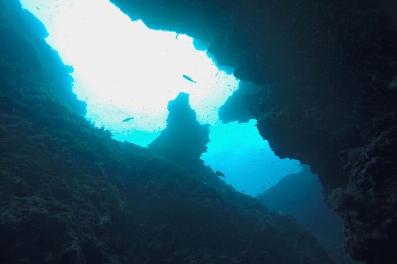 scuba-diving-in-dubrovnik-1-dive-for-certified-divers