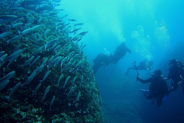 scuba-diving-in-dubrovnik-1-dive-for-certified-divers