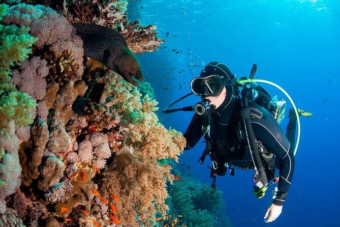 Scuba Diving in Fujairah with Private Transfers - Why This Tour Offers Great Value