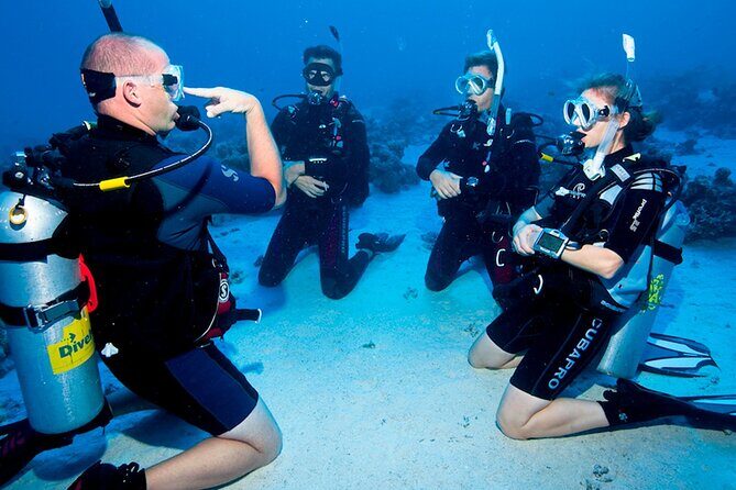 Scuba Diving in Fujairah with Private Transfers - Who Would Love This Experience?