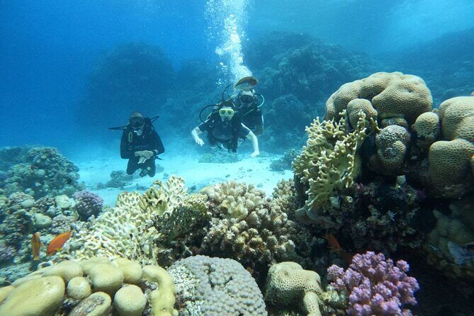 Scuba Diving in Hurghada _ 2 Stops Dive With Equipments & Lunch - Key Points