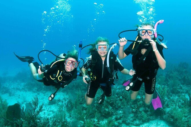 Scuba Diving in Hurghada _ 2 Stops Dive With Equipments & Lunch - Why Choose This Scuba Tour in Hurghada?