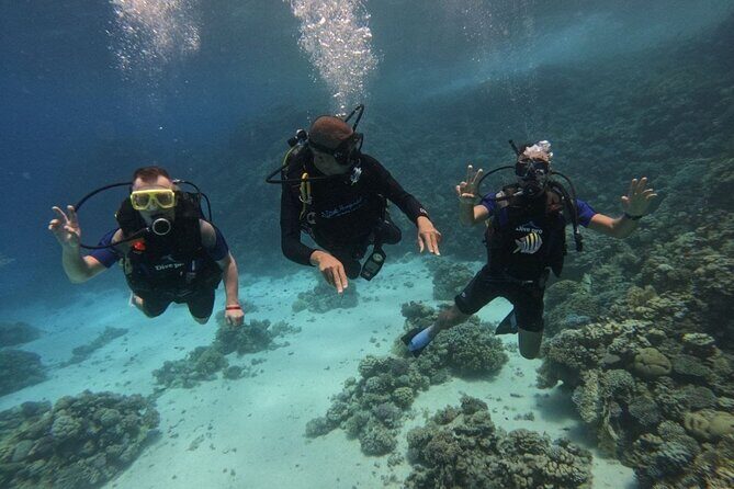 Scuba Diving in Hurghada _ 2 Stops Dive With Equipments & Lunch - Practical Details and Logistics