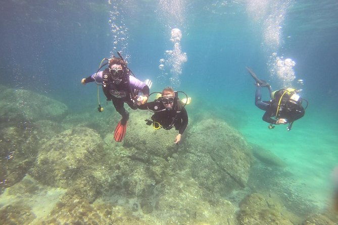 scuba-diving-in-la-maddalena-lavezzi-park-for-certified-divers-2