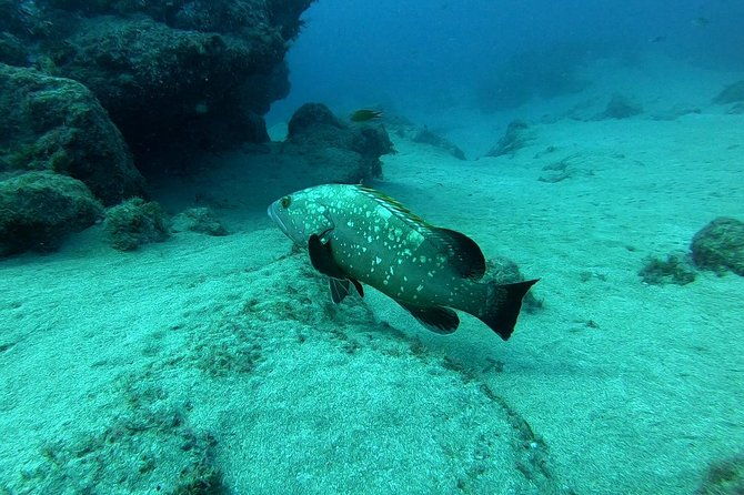 scuba-diving-in-lanzarote-for-certified-divers-only
